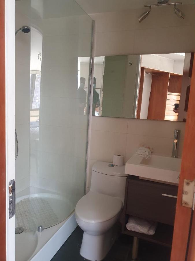 Апартаменты Departamento En Providencia Cerca Del Costanera Center Сантьяго Экстерьер фото